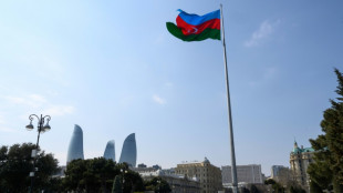 France must fully probe Azerbaijani dissident's killing: Amnesty