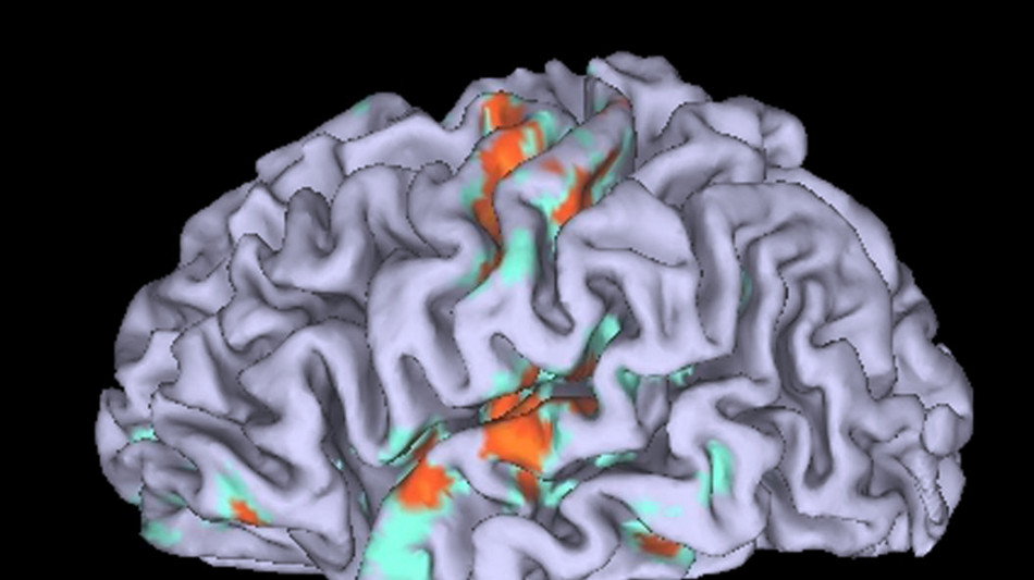 Nel cervello i neuroni che codificano le esperienze nel tempo