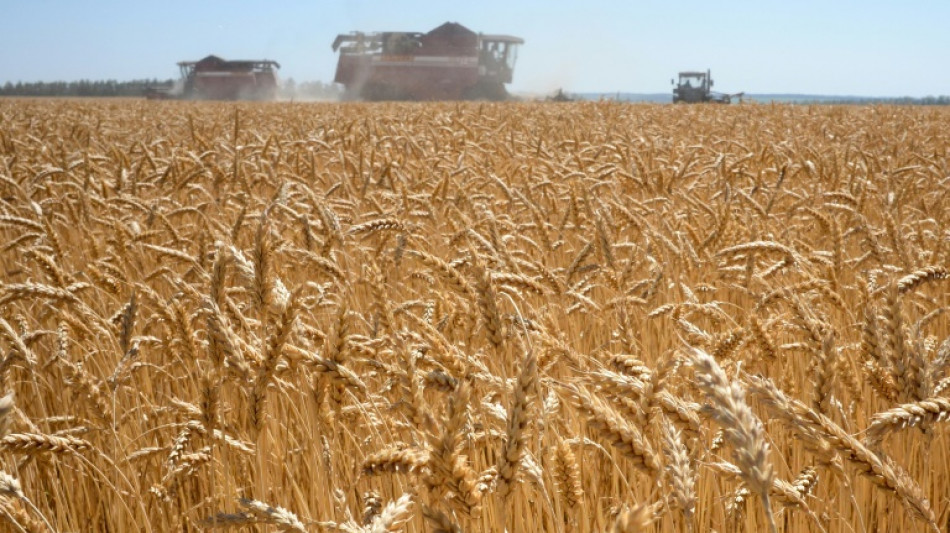 Landwirte wollen trotz Kriegsfolgen an Transformationsprozess festhalten