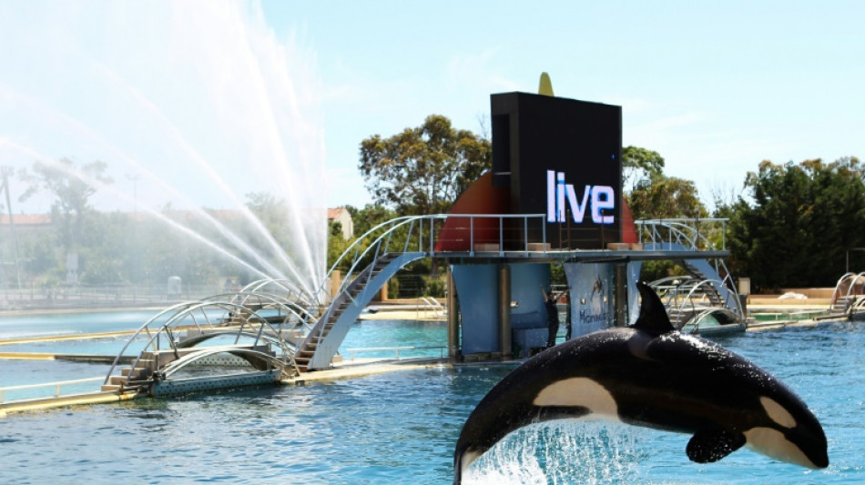 French marine park to close over law banning killer whale shows