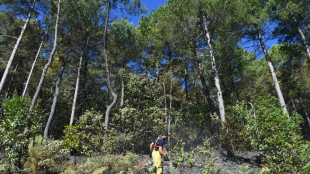 L'incendie des Cévennes maîtrisé, maintien d'un dispositif de surveillance allégé