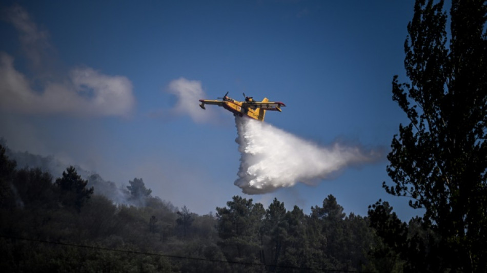 Le grand feu du parc naturel du centre du Portugal déclaré maîtrisé