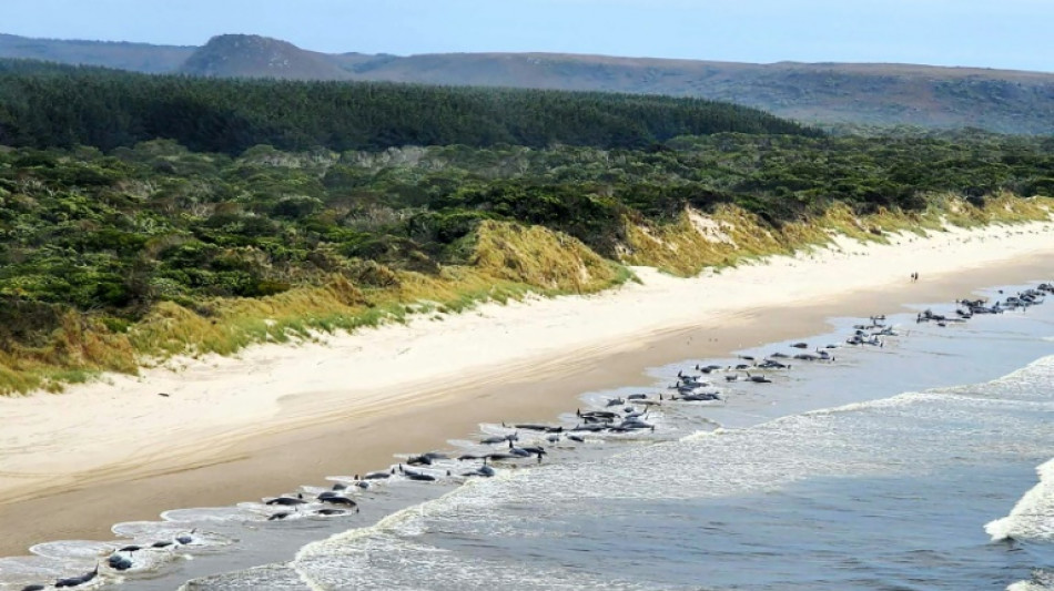 Alrededor de 200 ballenas piloto mueren en una playa australiana