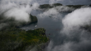 Canada marine protection plan aims to serve as global model