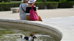 'It's horrible': Spain sweats through day 2 of heatwave