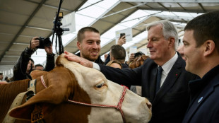 Agriculture: Barnier annonce des prêts garantis, 75 millions d'euros pour les éleveurs