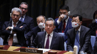 Cina, 'Palestina diventi membro a pieno titolo dell'Onu'