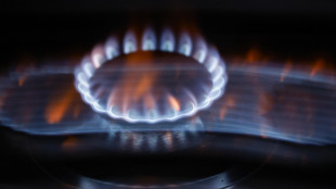 Il gas apre in rialzo a 28 euro al MWh al Ttf di Amsterdam