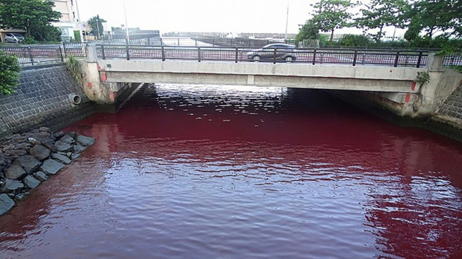 Japon: un lac rouge sang près d'une brasserie sème l'émoi