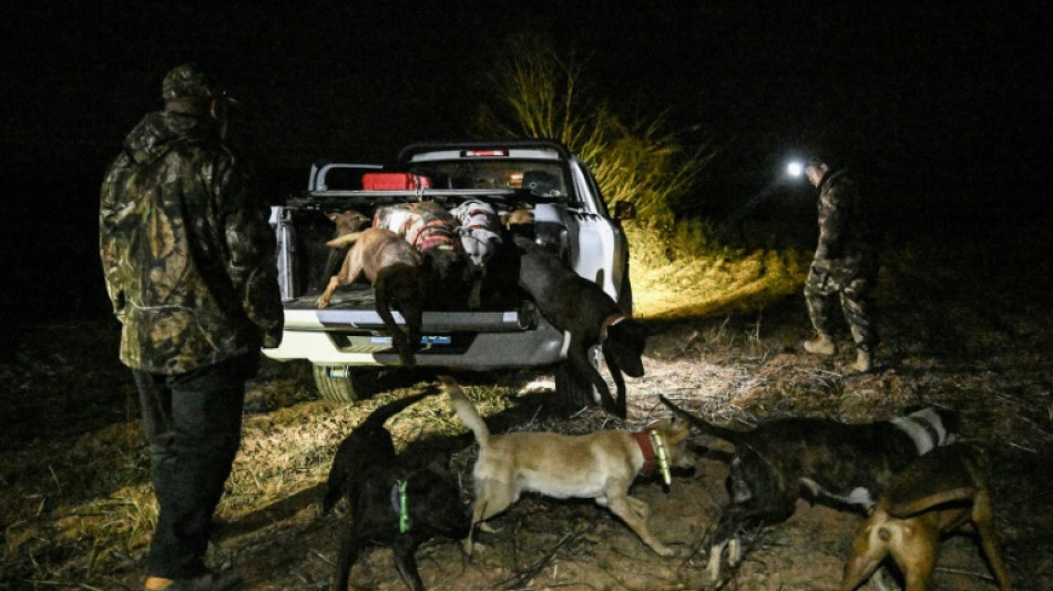 En Chine, des chasseurs de sanglier devenus stars des réseaux sociaux