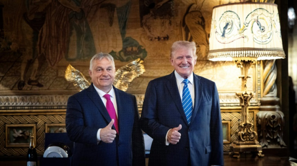  Hungary's Orban jubilant at Trump victory as he hosts EU leaders 