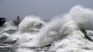 Vents jusqu'à 150 km/h et risque de submersion: la tempête Ciaran va frapper la France