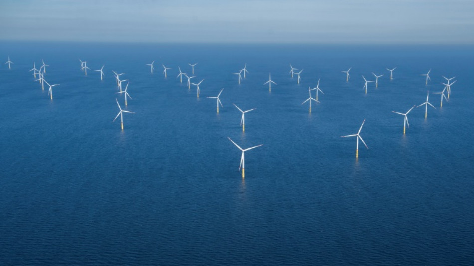 Niederlande drosseln Windräder für Durchzug von Zugvögeln