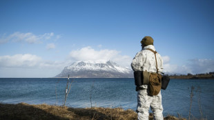 Dans l'Arctique, des soldats de l'Otan se frottent au combat par grand froid