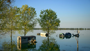 Roumanie: dans le delta du Danube, quand la nature reprend ses droits