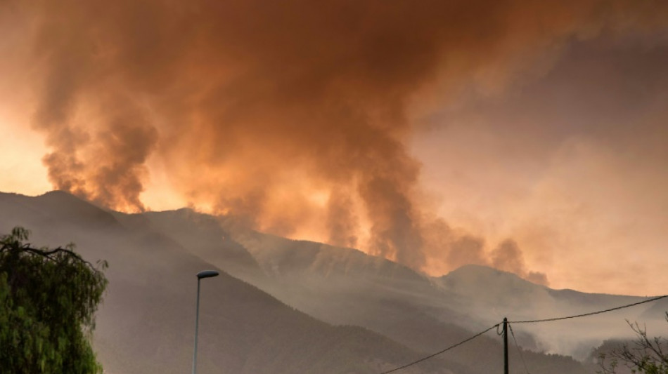 Espagne: les Canaries confrontées à leur incendie "le plus compliqué" des 40 dernières années