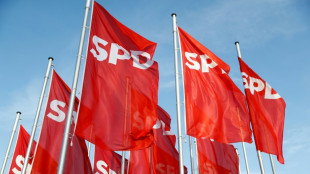 SPD-Generalsekretär Miersch verurteilt Angriff auf SPD-Wahlkampfstand in Berlin