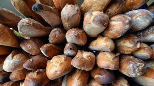 French baguettes get UNESCO heritage status