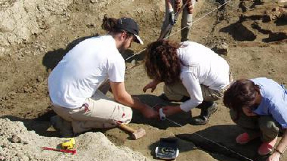 Orme fossili svelano inedita convivenza tra antenati dell'uomo