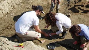 Orme fossili svelano inedita convivenza tra antenati dell'uomo