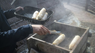 Los baños termales bloquean el potencial geotérmico de Japón