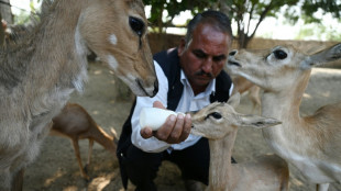 Los Bishnoi de India, defensores aguerridos de la naturaleza desde hace siglos