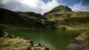 Des lacs des Pyrénées verdissent, de petits poissons désignés coupables