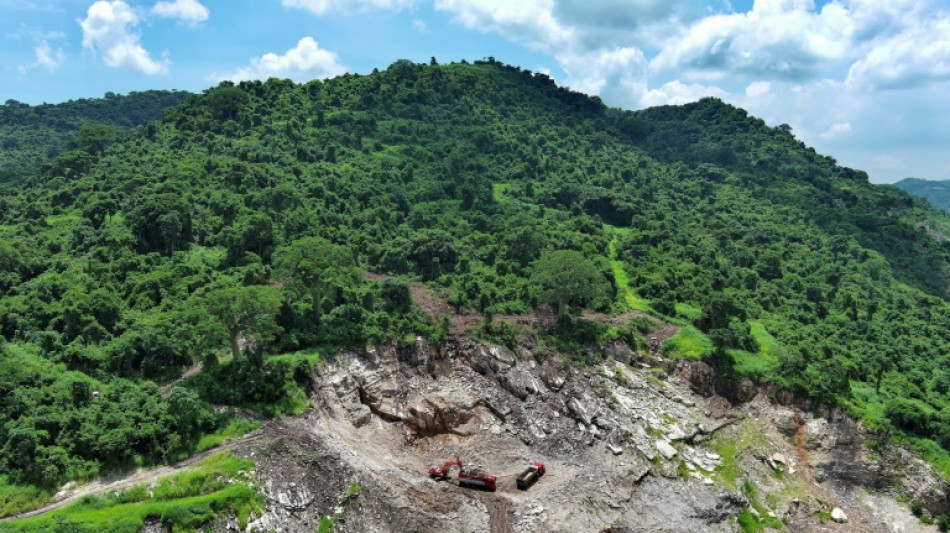 Cerro Blanco, a 'ilha' verde de Guayaquil perseguida pelo desmatamento