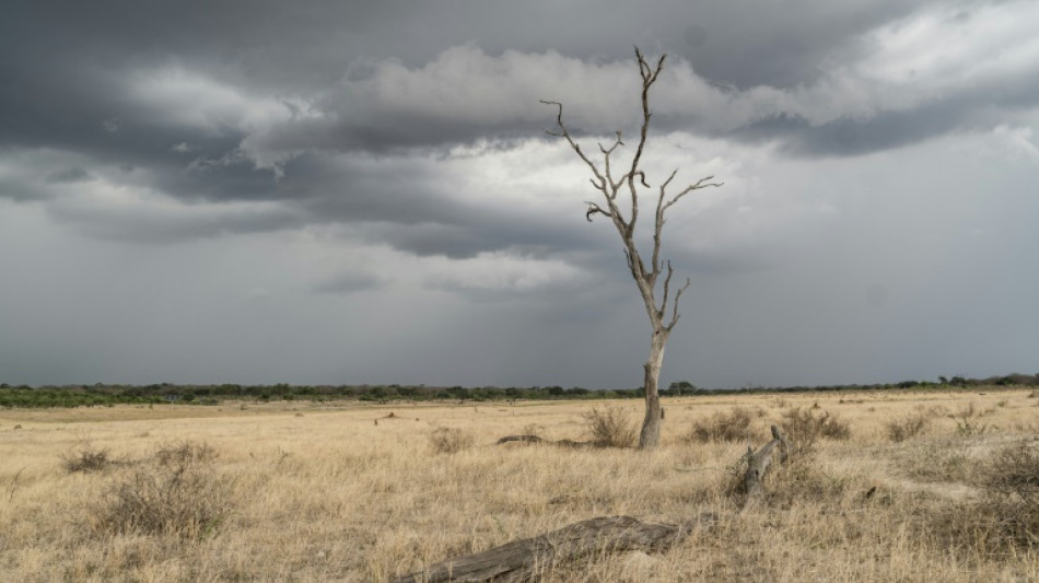 Zimbabwe declares El Nino drought a national disaster