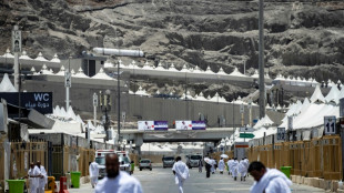 Peregrinos suben al Monte Arafat para el clímax del mayor hach en tiempos del covid-19