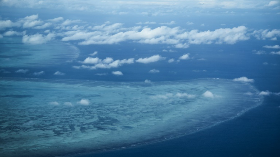 Grande Barrière de corail: l'Australie s'attaque à la mauvaise qualité de l'eau