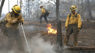 Firefighters tackle California wildfire as heat wave grips parts of US