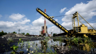 'Unimaginable': Austria prepares to reopen coal power station