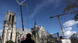 Cinq choses à redécouvrir sur Notre-Dame de Paris