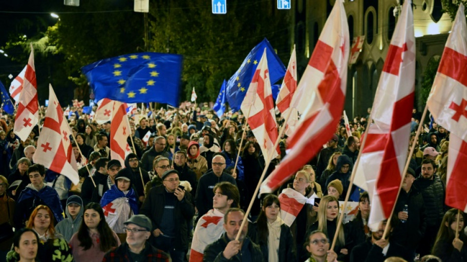 Tens of thousands rally in Georgia for EU ahead of pivotal vote