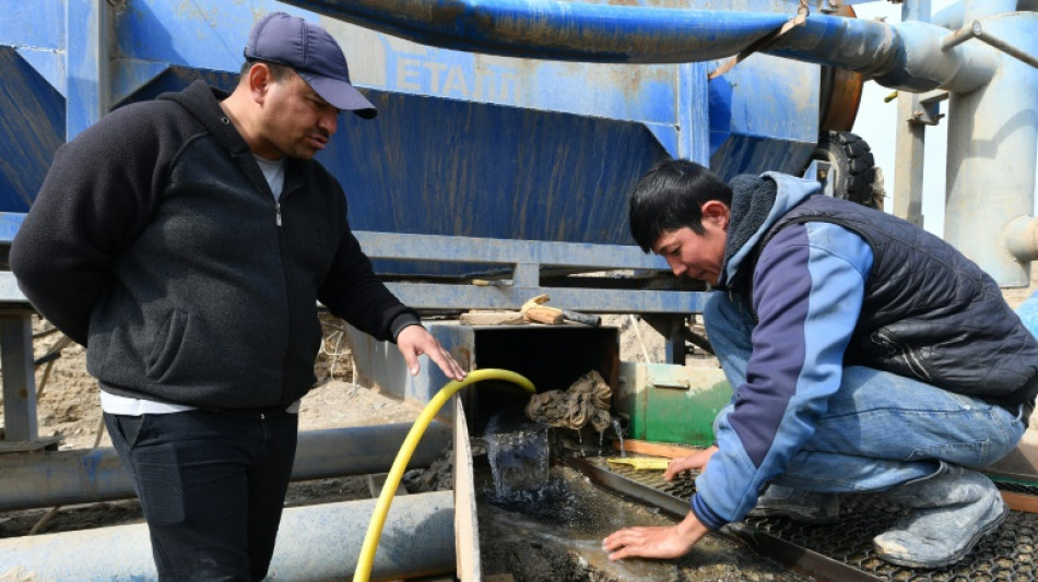 La fiebre del oro sacude Uzbekistán