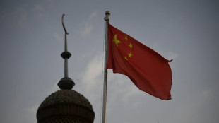 China incensed by French parliament's genocide declaration