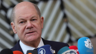 Scholz, usare asset russi per acquistare armi per Ucraina