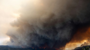 Meta gera indignação no Canadá por bloquear notícias em meio à crise de incêndios