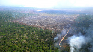 Desmatamento fragmenta a Amazônia e isola 23% de suas florestas, diz estudo