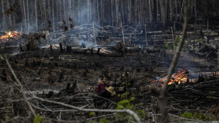 La deforestazione in Amazzonia scende del 38% nel primo semestre