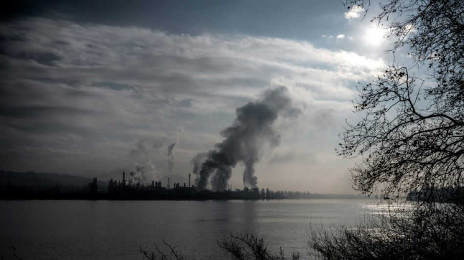 La pollution liée à 10% des cas de cancers en Europe, selon un rapport