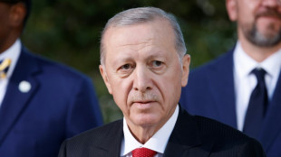 Vor Erdogan bei Türkei-Spiel: Kurdische Gemeinde fordert Verbot der Grauen Wölfe