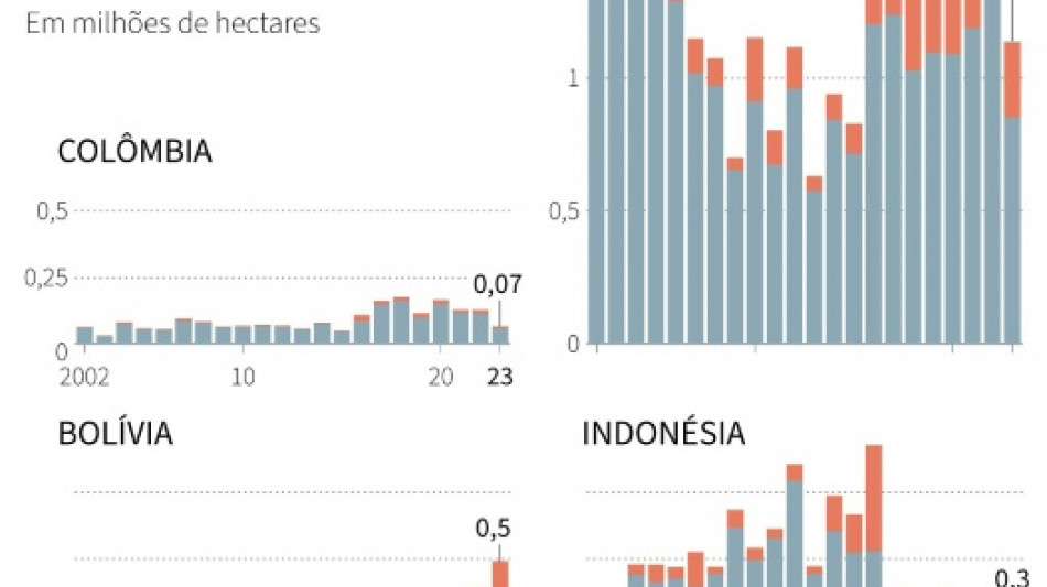 Apesar dos avanços no Brasil, desmatamento se mantém 'obstinadamente' alto no mundo