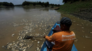 Gobierno brasileño envía ayuda humanitaria a Amazonas ante sequía "extrema"