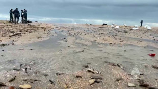 Russian oil spill contaminates 50km of Black Sea beaches