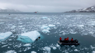 Os sons da Antártica: de 'naves espaciais' até cantos de baleias