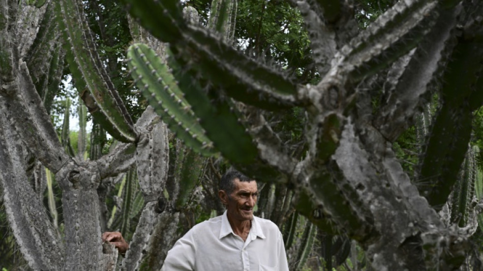 L'agro-écologie contre la désertification dans le nord-est brésilien