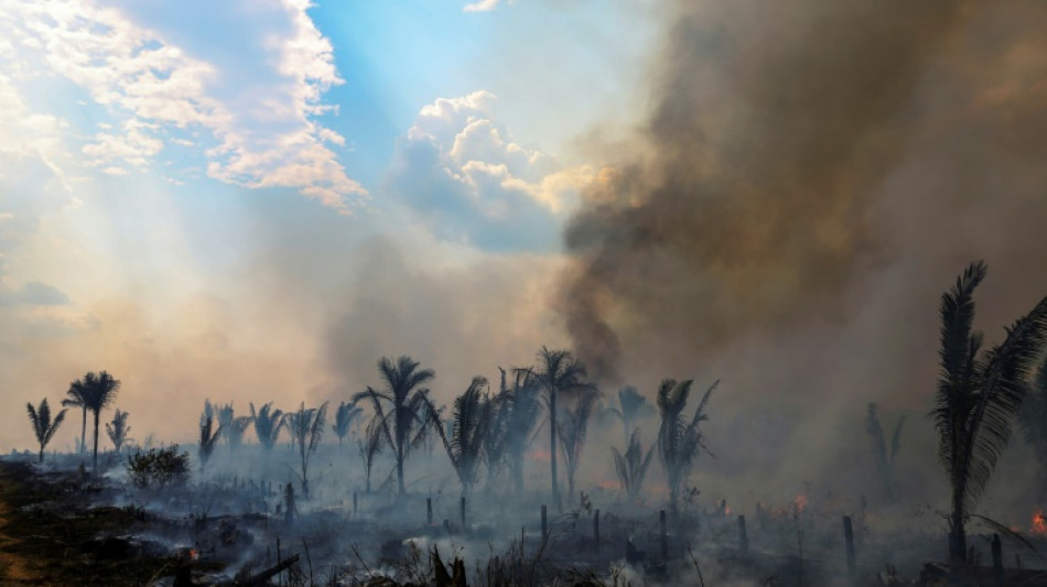 Lula vai liderar cúpula regional para frear destruição da Amazônia
