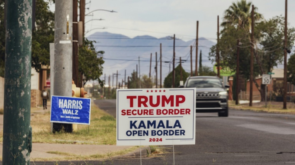 Lawn sign wars: US election drains neighborhood spirit